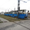 IMG 0553 - Polska 2012