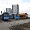 IMG 0551 - Polska 2012