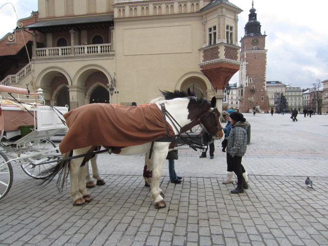 IMG 0452 Polska 2012