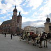 IMG 0451 - Polska 2012