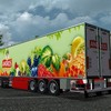 gts Chereau Technogram + Sk... - GTS TRAILERS