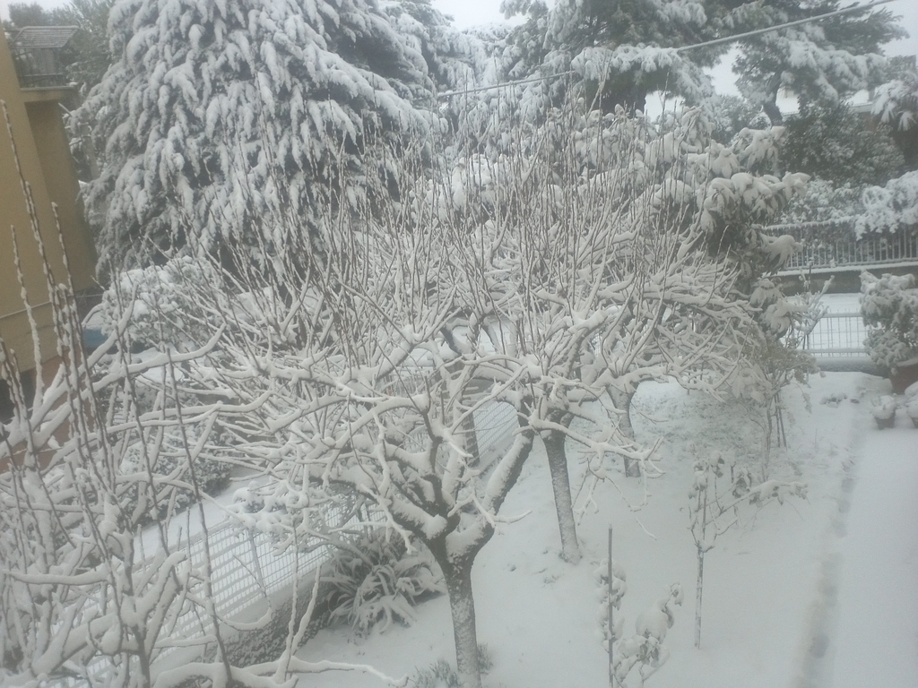 CameraZOOM-20120203090125620 - 