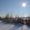 DSC 9104-border - Winter 2012