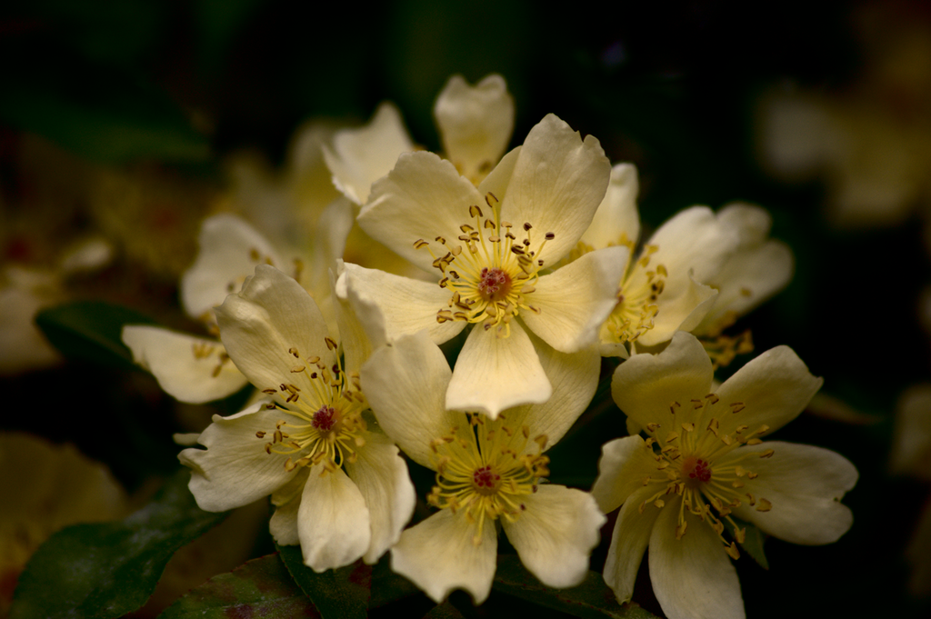 resized-3 Random