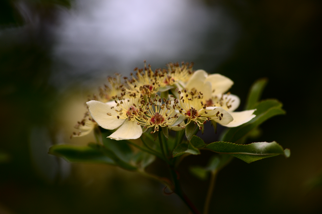 resized-4 Random
