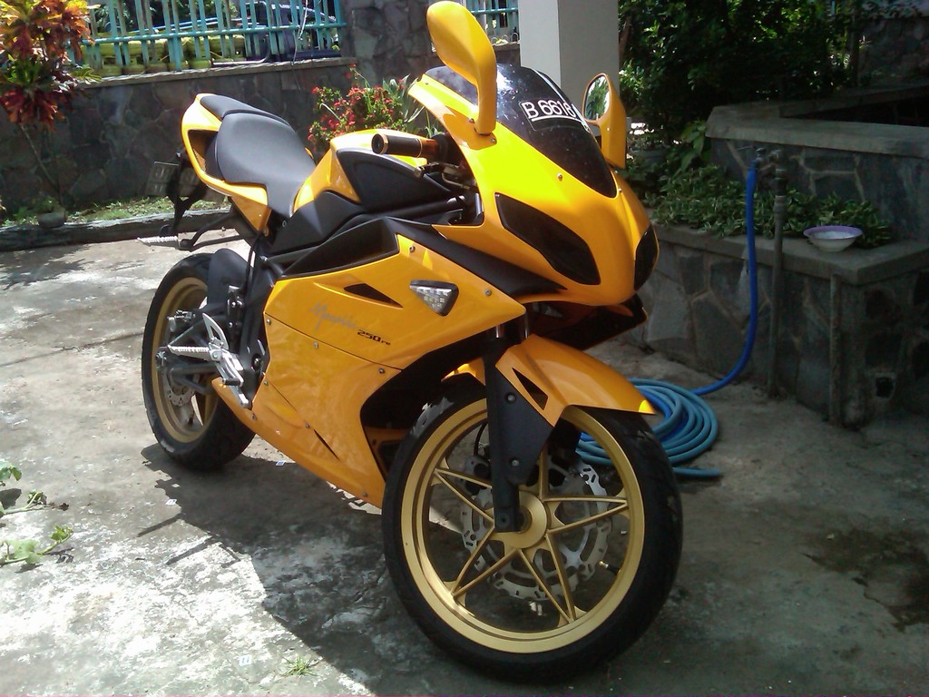 IMG-20111226-00116 - 