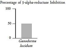 220px-Reishi5alpha - 