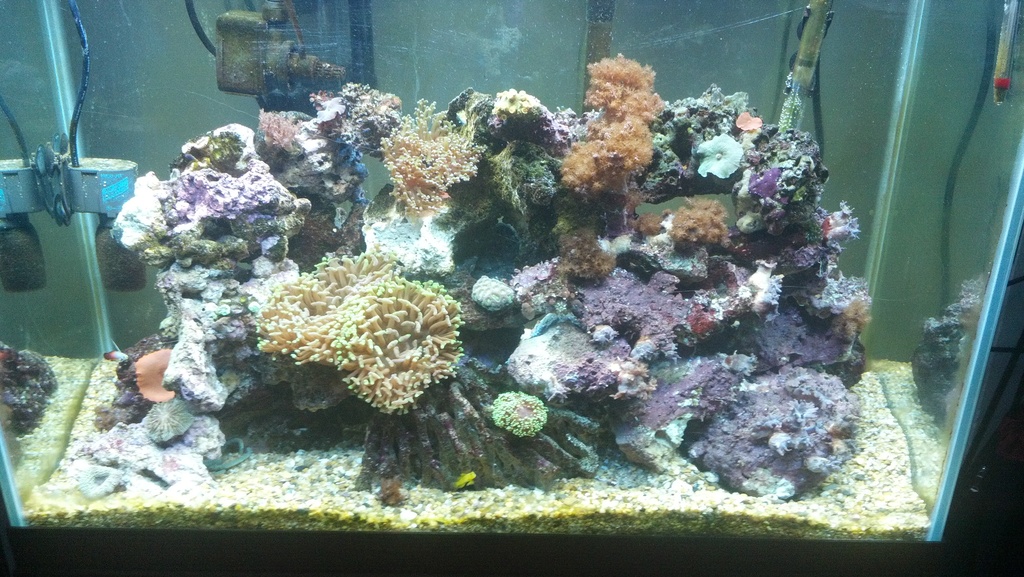 2012-02-17 22-21-59 673 - 