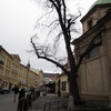 IMG 0496 - Zdjęcia z Polski 2012