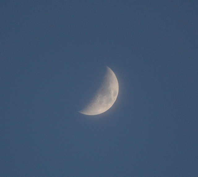 moon feb27th Sky Watch 