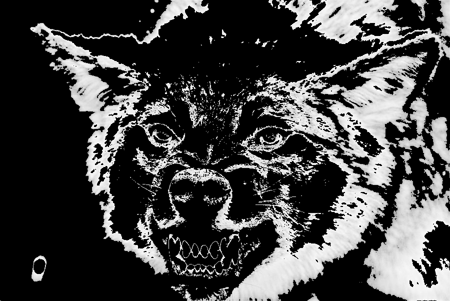 bert wolf 9 Picture Box