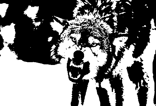 bert wolf 3 Picture Box