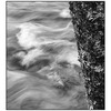 Puntledge River 05 - Black & White and Sepia