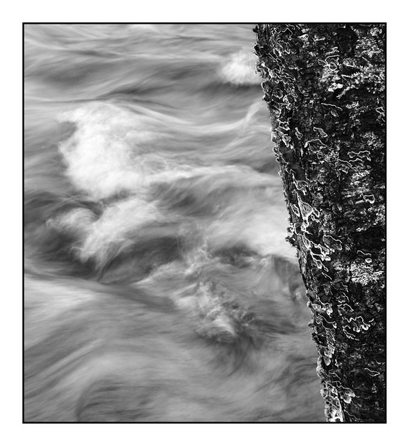 Puntledge River 05 Black & White and Sepia