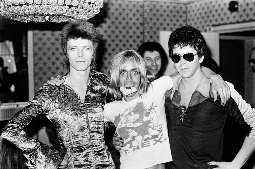 ziggy, iggy, lou - 