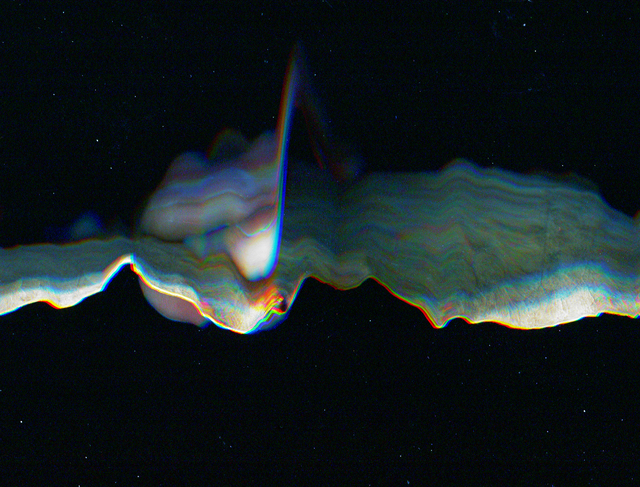 Saturn's Collapse -hand holding leaf over scanner  Portfolio fon BjÃ¸rn Halden Parramoure