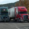 f0055 - Trucks