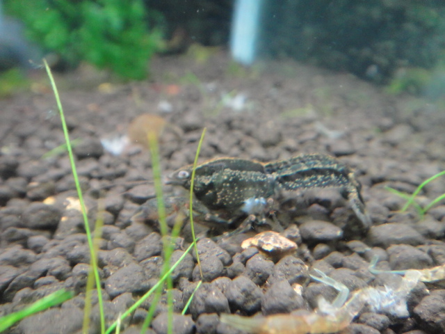 l24401DSC03547b142 - 