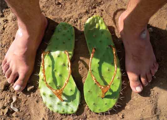 cactus slippers