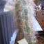 Oreocereus culpinensis - cactus