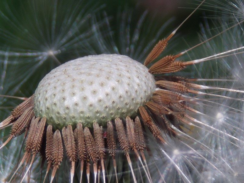 FILE0059 - 