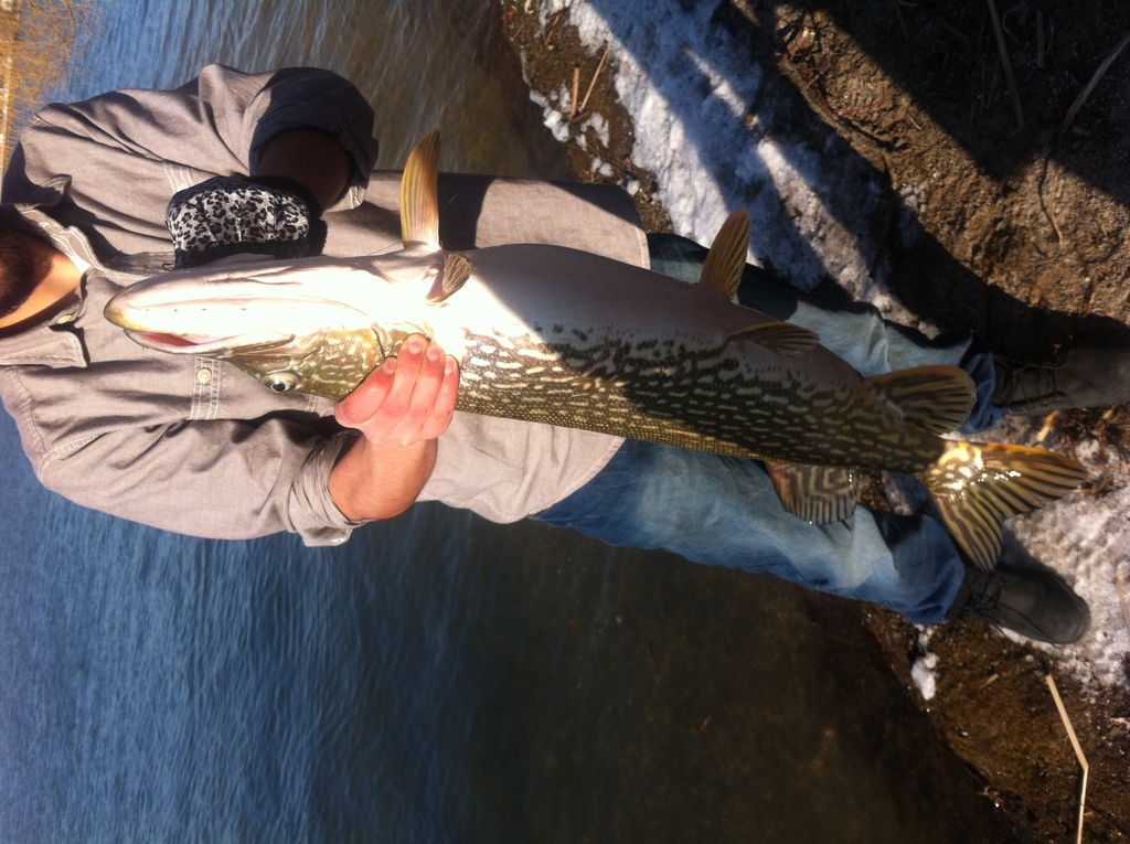 photo-20120313-130430 - 