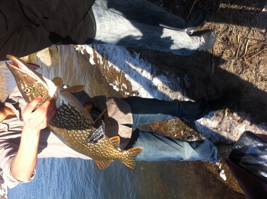 photo-20120313-130347 - 