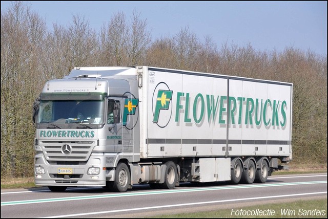 f flowertrucks kuh 800-border Wim Sanders Fotocollectie