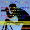 Sonsbeek 2008 Grandeur Gildes in Binnestad Arnhem zo 08-06-2008