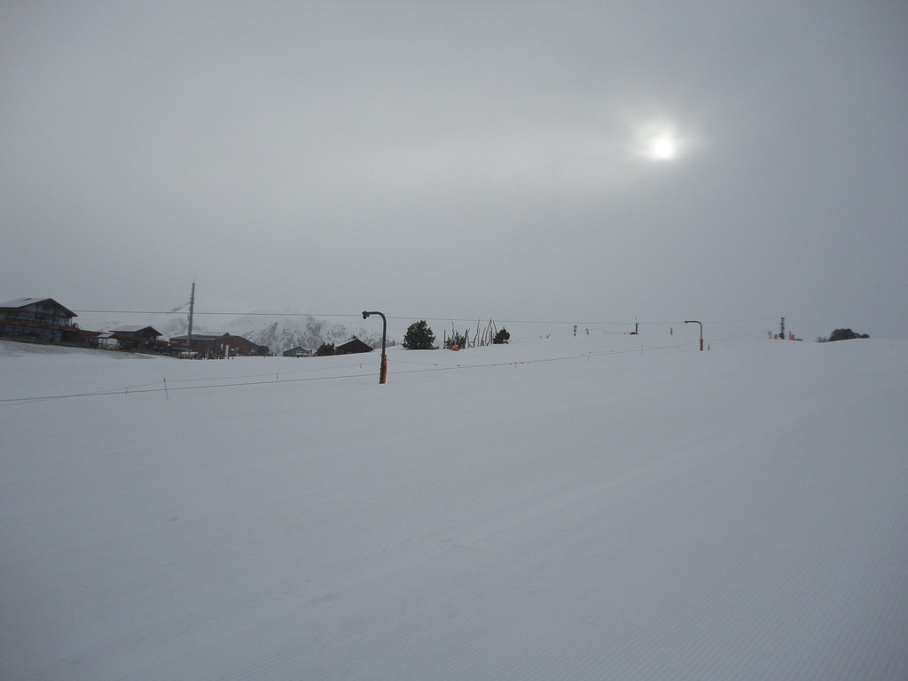 DSC01216 - 