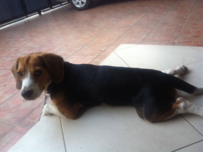 1dc08f08398b7144673f3f17197a331d - 