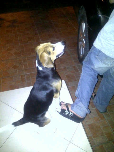 IMG-20120409-00214 - 