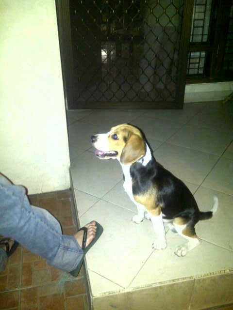 IMG-20120409-00218 - 