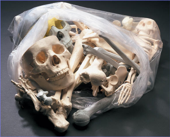 Image Hosted by PicturePush - Photo Sharing