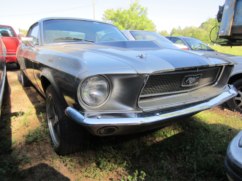 IMG 2264 - 2012 april