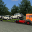 gts Fiat 190 F35 oldschool ... - GTS TRUCK'S