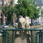 P1070926 - amsterdamsite