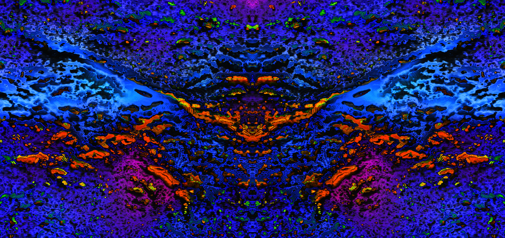 eagle flying head on Picture Box
