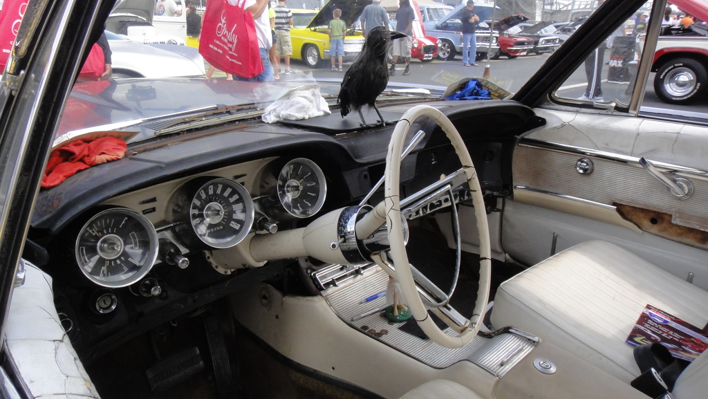 DSC01019 - Charlotte Auto Fair 2010