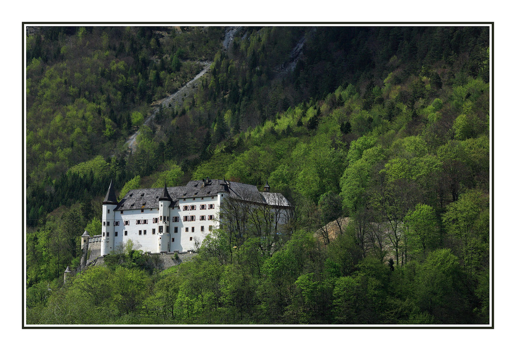 In The Trees Austria