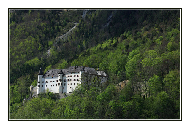 In The Trees Austria