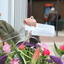 R.Th.B.Vriezen 2012 04 27 2526 - InformatieCentrum Winkelcentrum Presikhaaf sluit de deuren vr 27 april 2012