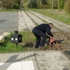 T03141 Wernigerode Hasserode - 20120422 Harz