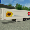 ets Trailer Huybregts trans... - ETS TRAILERS