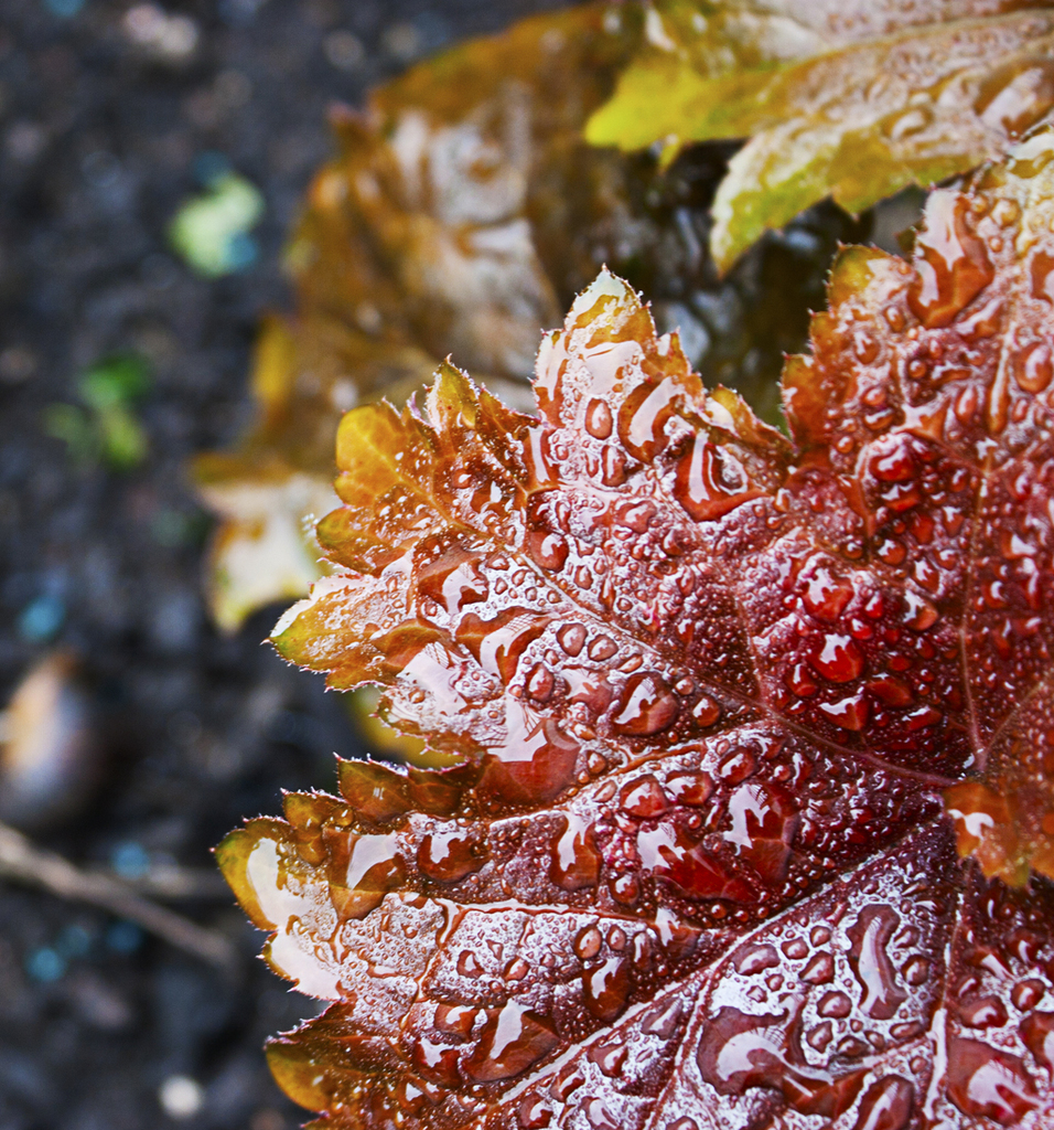 Firstphototaken1024 - 