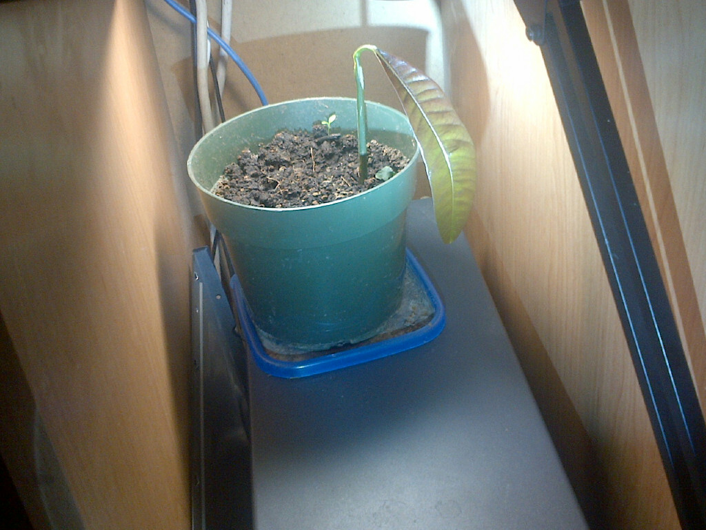 IMG-20120509-00391 - 