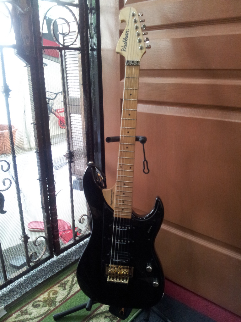 Washburn N6 - 