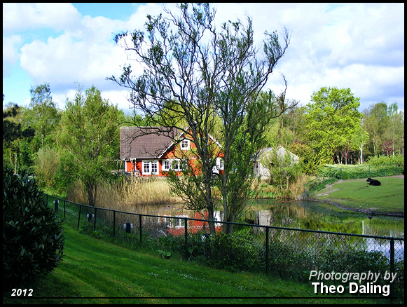 Huis achter van der Valk - Assen Rommeltjes