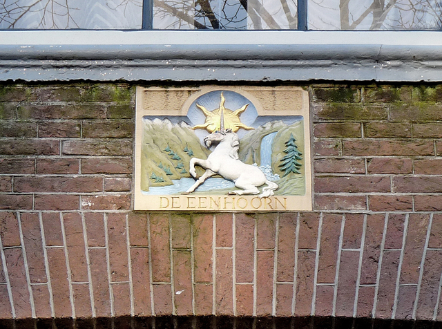 P1010966 amsterdam