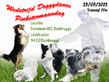 Affiche doggydance 280512 klein - 